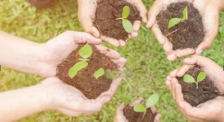 恒赫鼎富(蘇州)電子有限公司-2023年土壤檢測報告公示